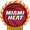 迈阿密热火队队徽